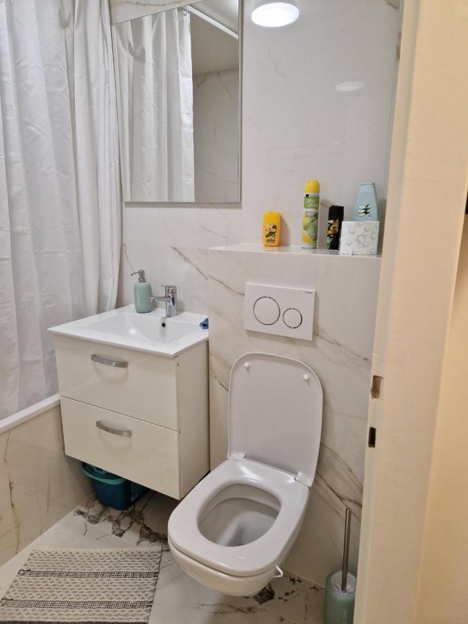 Spacieux Apartment